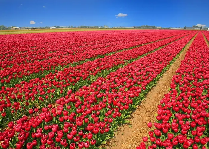 Gestrand Vakantiehuis *